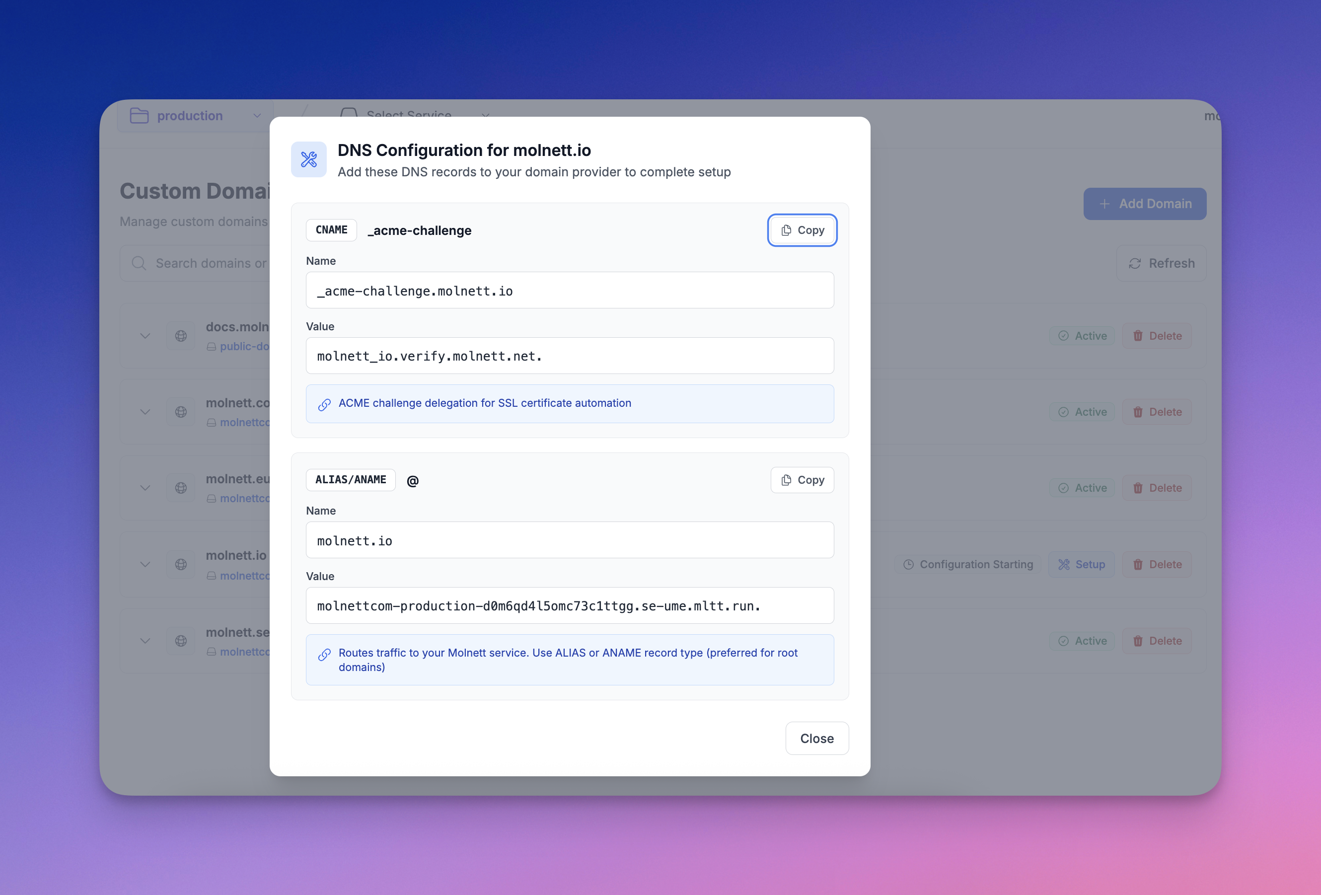 Custom Domain setup